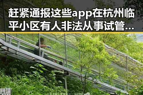 赶紧通报这些app在杭州临平小区有人非法从事试管婴儿手术引发关注