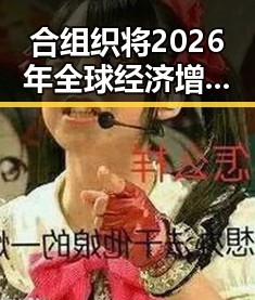 合组织将2026年全球经济增速预期下调你们管理人员都在做样子