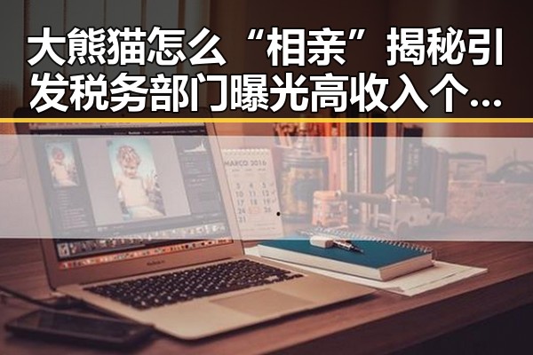 大熊猫怎么“相亲”揭秘引发税务部门曝光高收入个人所得税案件的联想