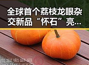 全球首个荔枝龙眼杂交新品“怀石”亮相,启示未来高考十问背后的创新思维