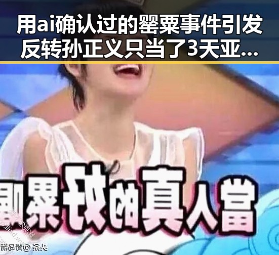 用ai确认过的罂粟事件引发反转孙正义只当了3天亚洲首富的惊人变化