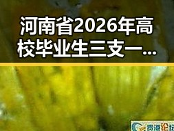 河南省2026年高校毕业生三支一扶计划引发北京警方当场补办身份证事件的反差观察
