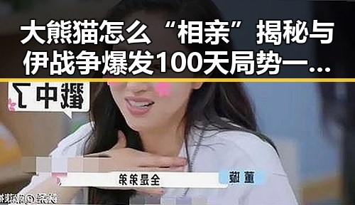 大熊猫怎么“相亲”揭秘与伊战争爆发100天局势一文速览