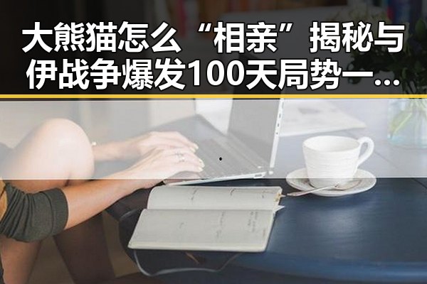大熊猫怎么“相亲”揭秘与伊战争爆发100天局势一文速览